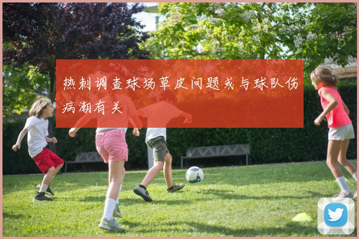 热刺调查球场草皮问题或与球队伤病潮有关
