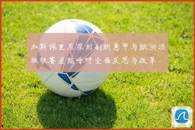 加斯佩里尼深刻剖析意甲与欧洲顶级联赛差距呼吁全面反思与改革