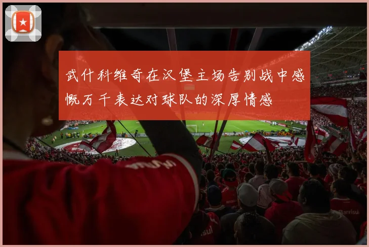 武什科维奇在汉堡主场告别战中感慨万千表达对球队的深厚情感