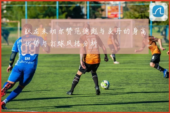 狄龙米切尔赞范德彪与麦丹的身高优势与打球风格分析