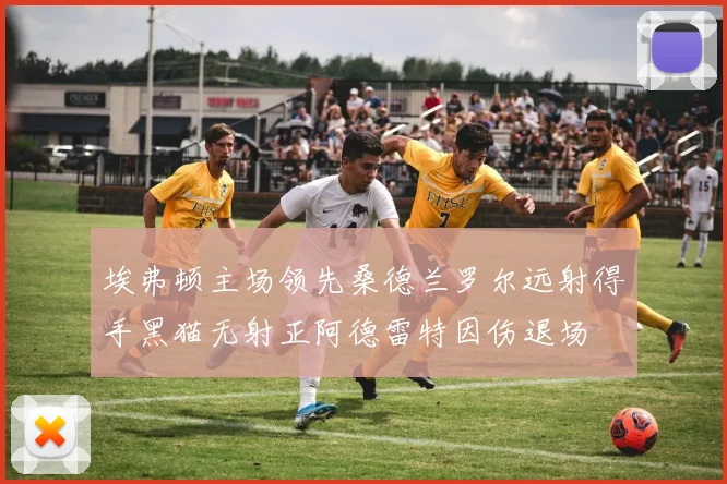 埃弗顿主场领先桑德兰罗尔远射得手黑猫无射正阿德雷特因伤退场